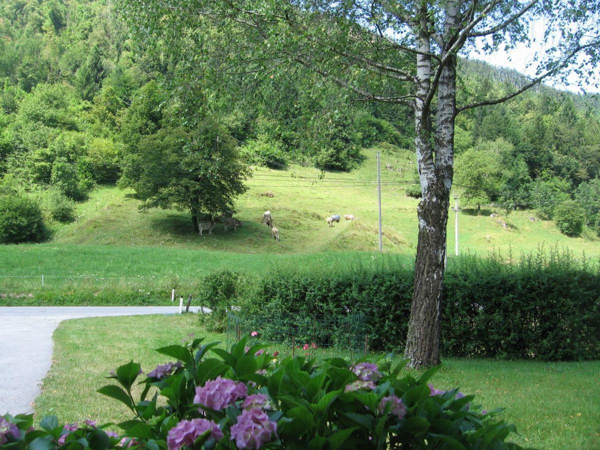 Vrata Pri Cepovanu Villa Exterior foto